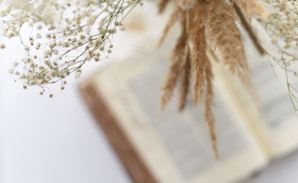 ภาพขนาดย่อ